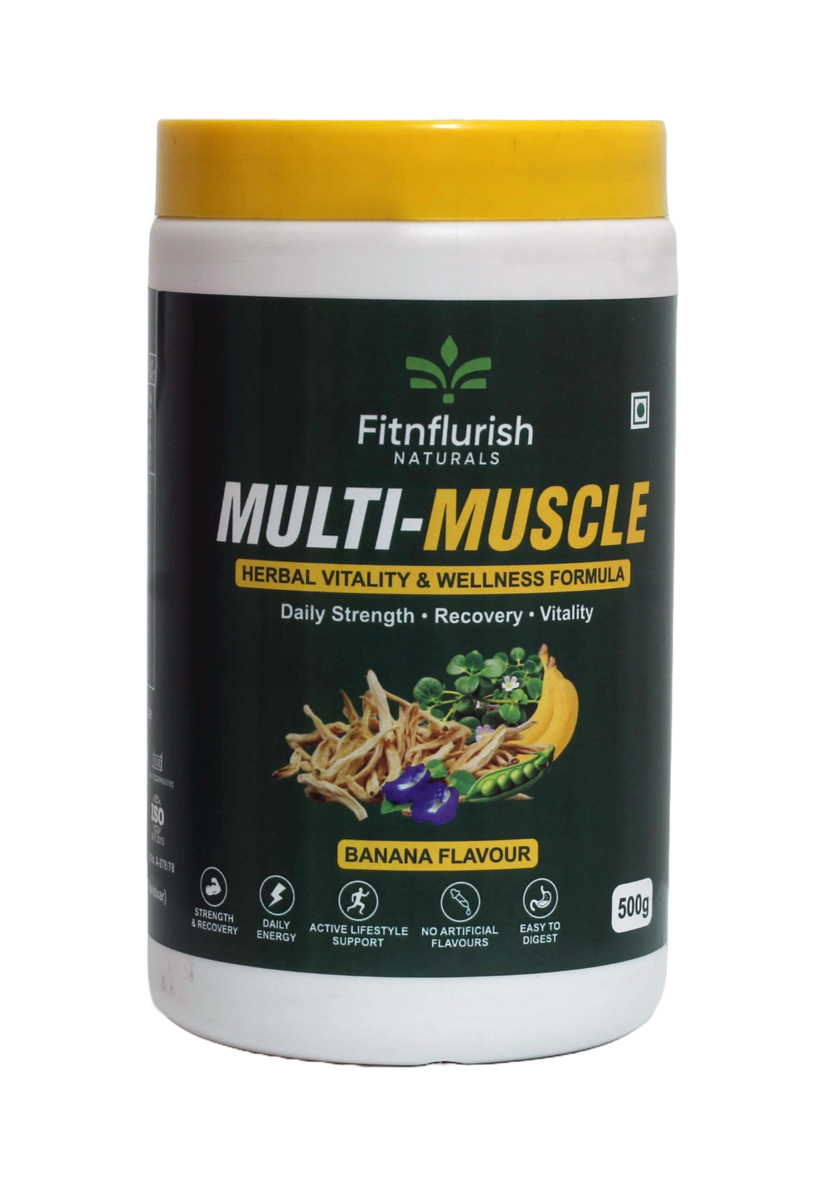 PROTIEN POWDER BANANA-500GM