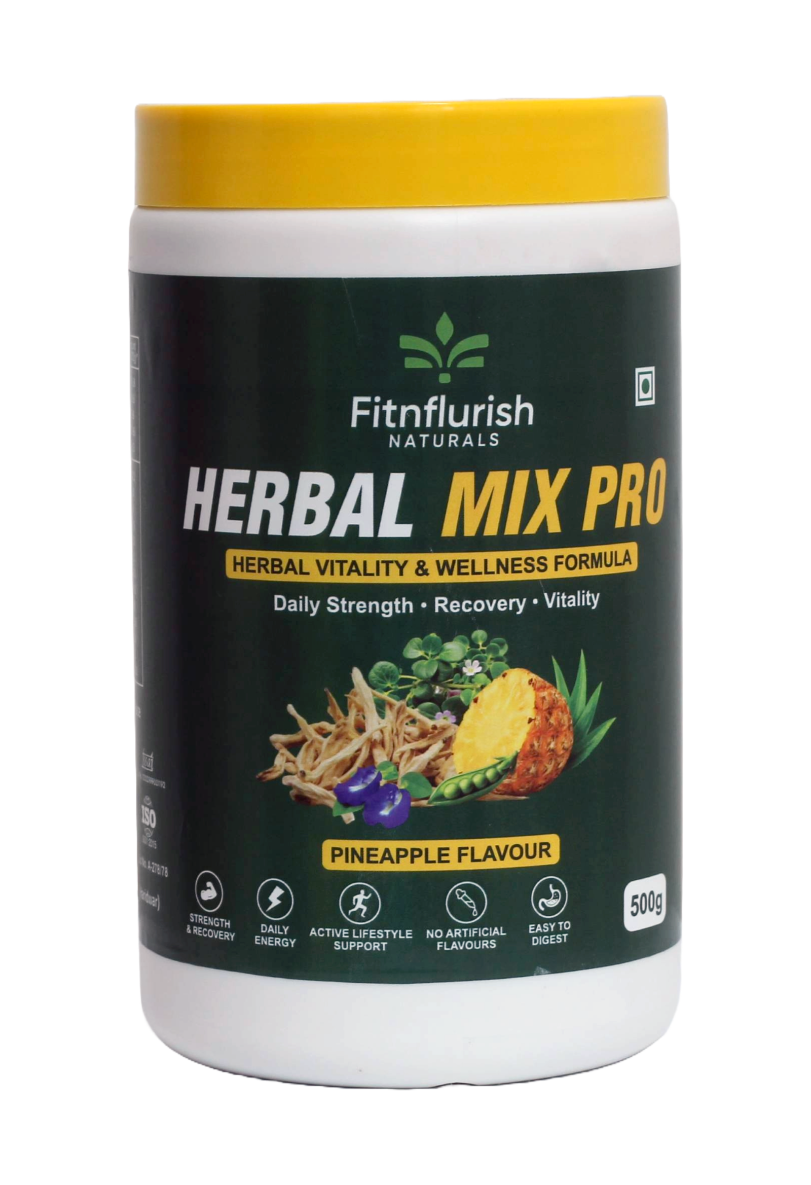 PINEAPPLE PROTIEN POWDER- 500GM
