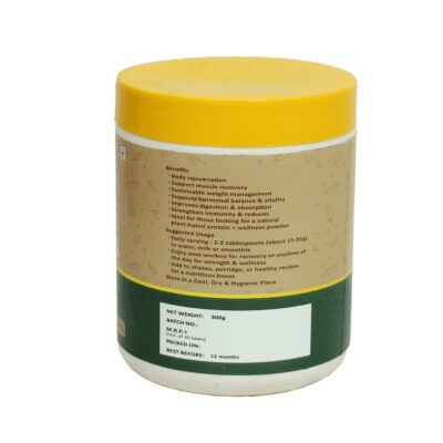PINEAPPLE PROTIEN POWDER- 300GM
